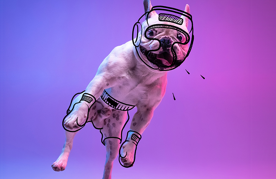 BODYCOMBAT & BODYJAM Classics for Kelly Animals Shelter