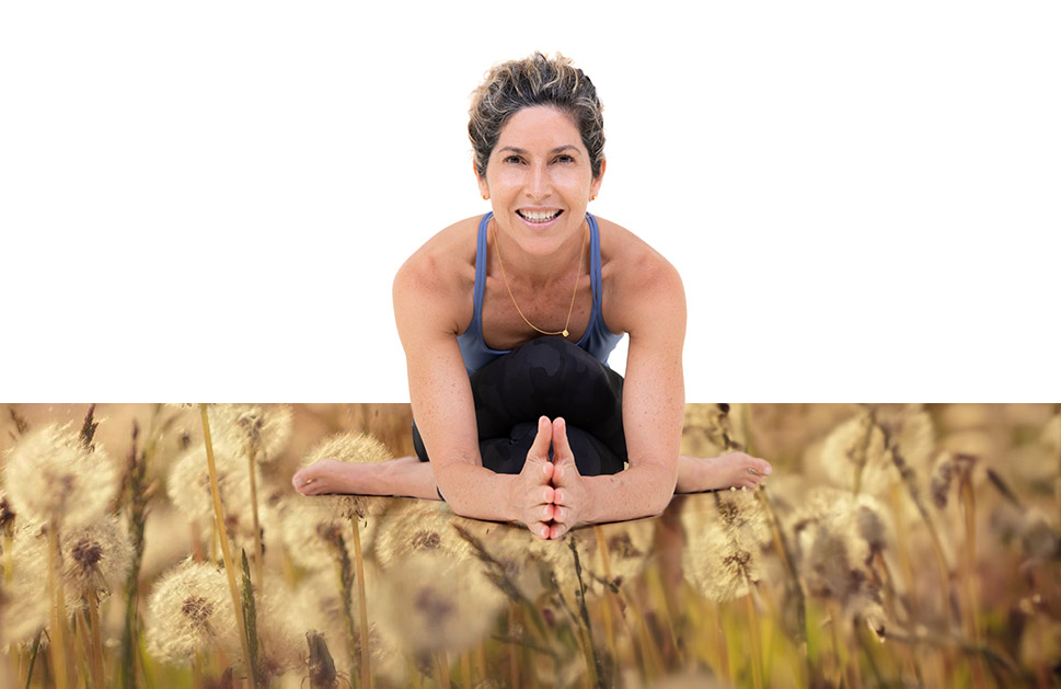 內在修煉：呼吸法與控氣法密集課程 ，由 Wendy Wyvill 指導