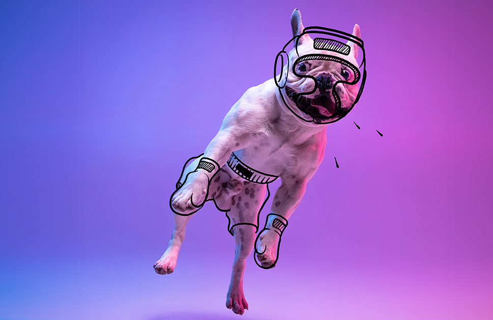 BODYCOMBAT & BODYPUMP 經典課堂：支持香港狗隻救援