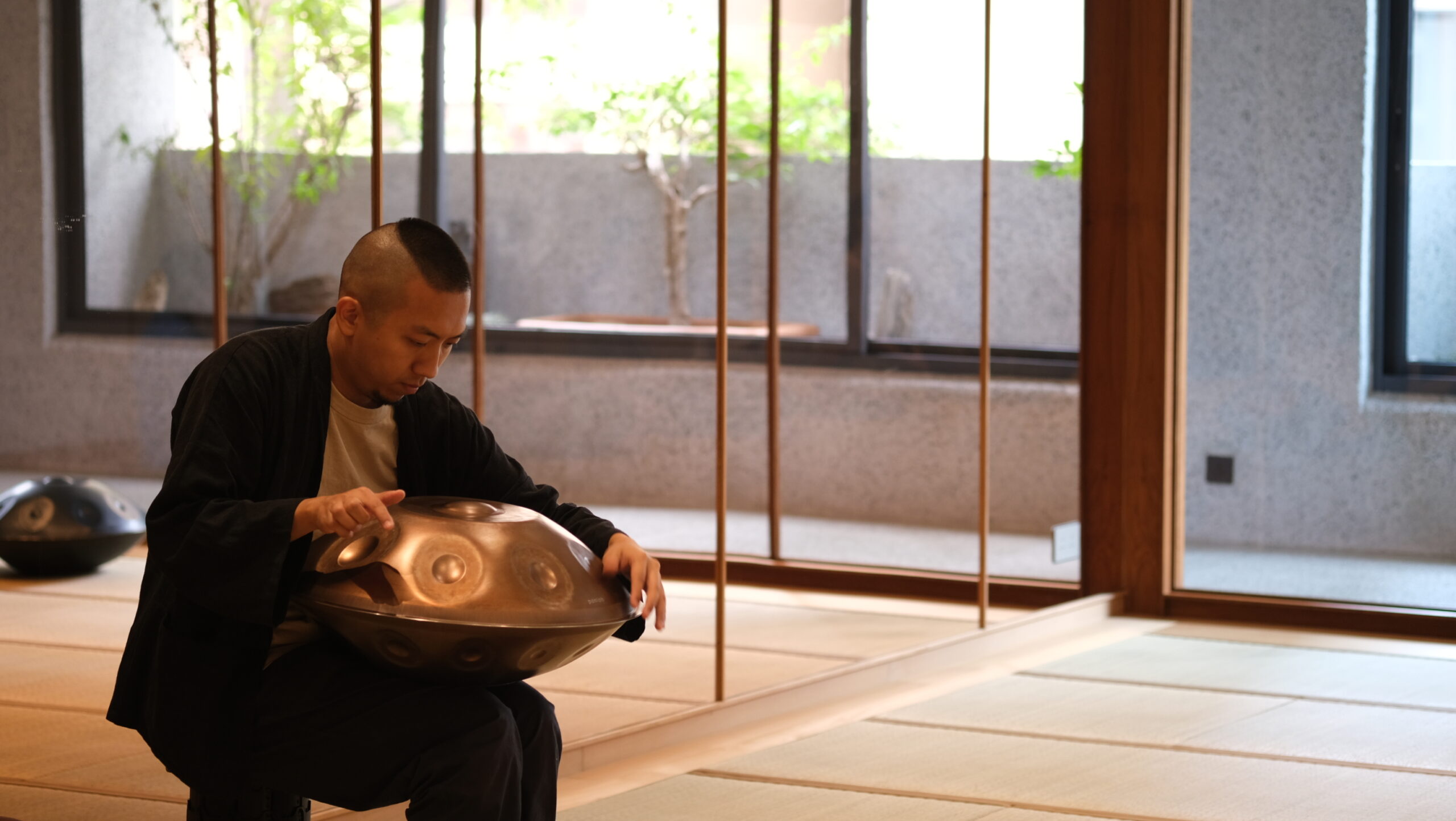 Panlab Handpan Healing Beginner Course by Ting Ho Fung