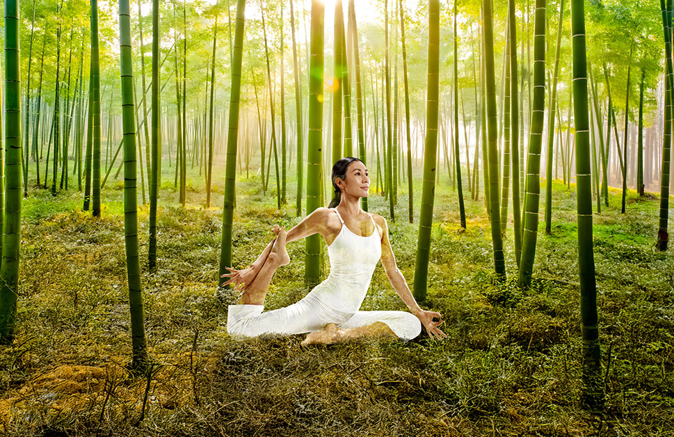 黃山竹林瑜伽靜修 由 Almen Wong 帶領