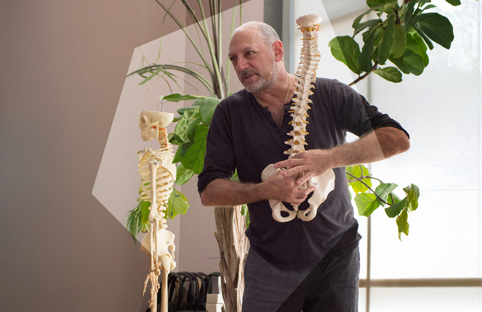 4 天 24 小時 瑜伽解剖 CET 由 Leslie Kaminoff 指導