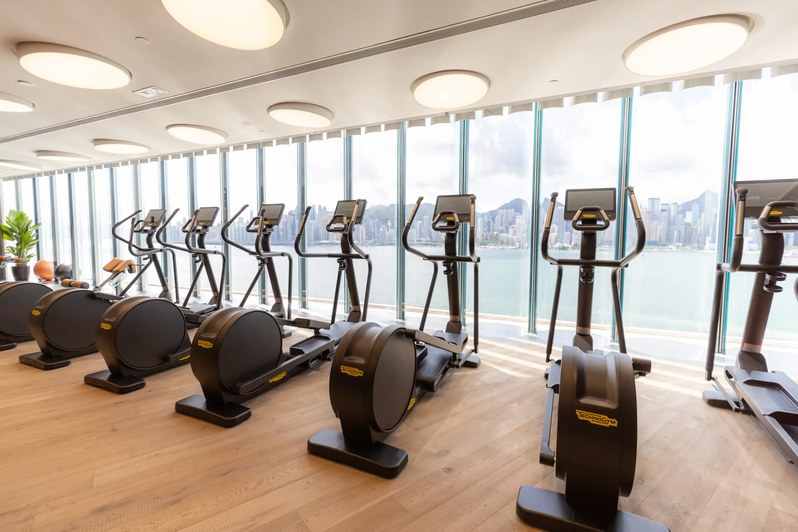 K11 MUSEA: Cardio machines arranged beside tall windows.